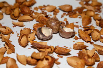 Macadamia shells and almonds that were thrown away on a white background