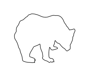 Bear vector line contour illustration isolated on white background. Grizzly symbol. Big animal, nature wildlife concept.