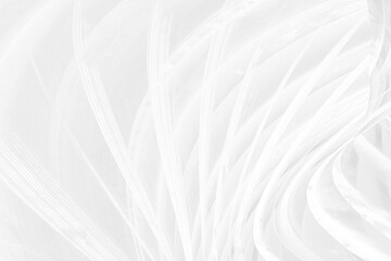 Obraz premium piękno udekoruj abstrakcyjne. chacoal tekstylna miękka tkanina czarna gładka krzywa moda kształt matrycy tło