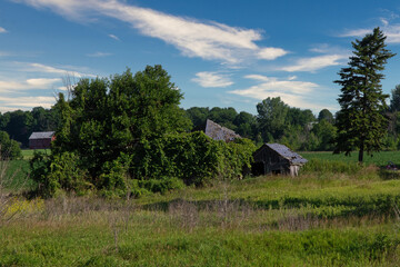 Obraz premium abandoned farm house in a open meadow surrounded by trees 