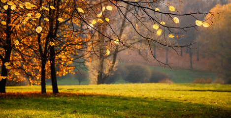 Beautiful Nature Autumn landscape on Sunny day