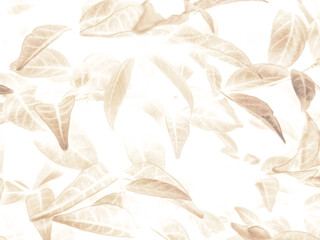 Beautiful abstract color brown and yellow flowers on white background and orange flower frame and brown leaves texture, brown background, orange and gold love banner, orange isolated background 