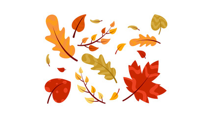 Flat autumn forest leaves collection vector