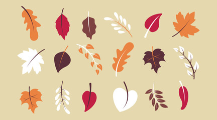 Flat autumn forest leaves collection vector