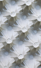 Obraz na płótnie Canvas cardboard egg tray. texture or background