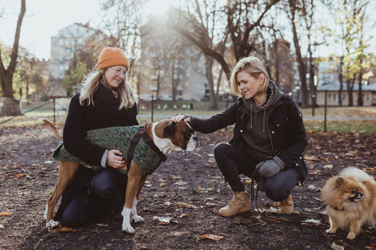 Women crouching while stroking boxer dog at park during autumn
