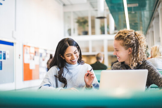 Smiling young female students studying in cafeteria at university