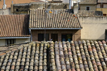 Rural landscape with different roofs