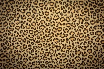 Fotobehang luipaardhuid achtergrondstructuur, echt bont retro ontwerp, close-up wild animail haar modern © annebel146