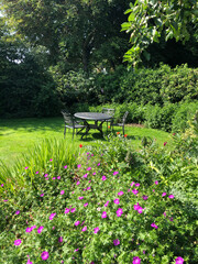 Lush garden foliage with cranesbill flowers in the foreground in an English garden in summer