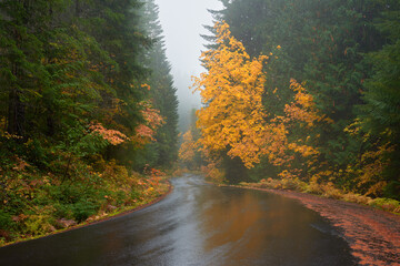 Autumn rainy day on the road in Washington state.
