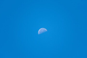 Day Half Moon