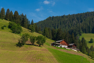 Summer landscape with mountain hut surrounded by greenery
