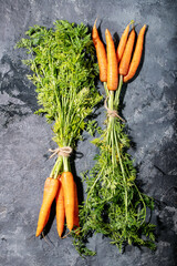 Bunch of fresh carrots with green leaves