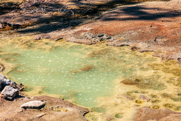 Boiling geothermal pool in Wai-O-Tapu