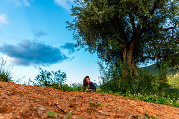 A full body shot of a young Caucasian redhead woman sitting on the ground and looking at a plant on a hiking path next to a tree in the mountains under warm summer sunlight (Puget-Theniers, France)