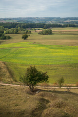 Fototapeta na wymiar View of the fields (typical landscape near Suwalki) from the observation tower in Baranowo, Podlaskie, Poland