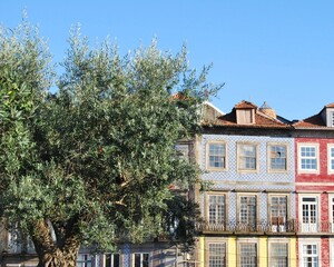 old houses in the city of Porto Portugal