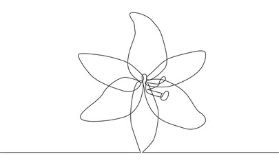continuous single drawn one line flower lily hand-drawn picture silhouette. Line art. doodle.
