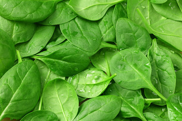 Fototapeta na wymiar spinach leaves background. spinach texture. Healthy food.