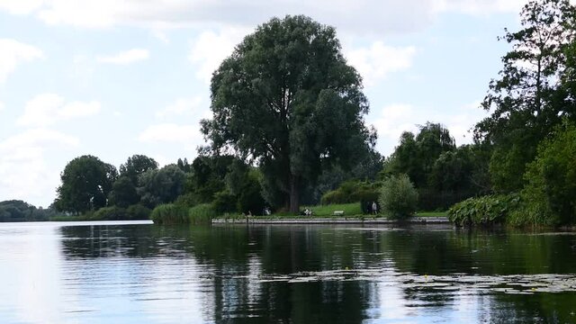 Tree At The Gaasperplas Lake Amsterdam The Netherlands 20-7-2020