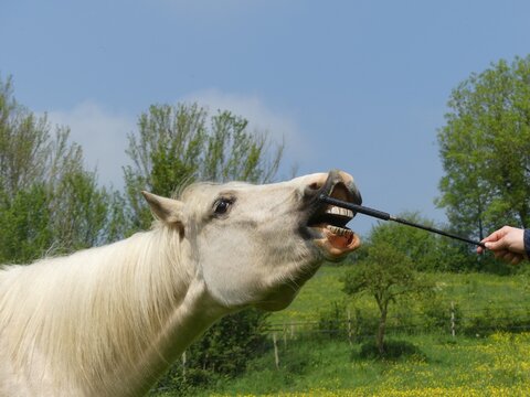 Prendre le stick