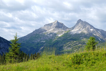 Fototapeta na wymiar Aussicht auf Berggipfel im Lechquellengebirge mit Alpenwiese und Lech Fluss im Vordergrund