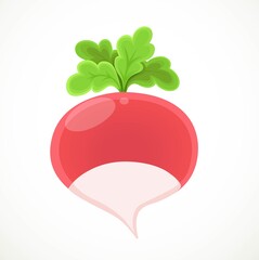 Radish isolated on white background