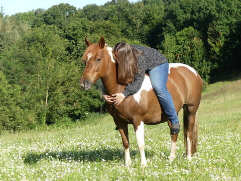Complicit&eacute; cheval et cavali&egrave;re