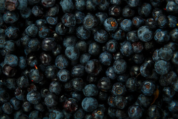 Blueberry berries scattered on a smooth turn.