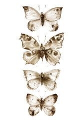 Watercolor butterflies and moths set