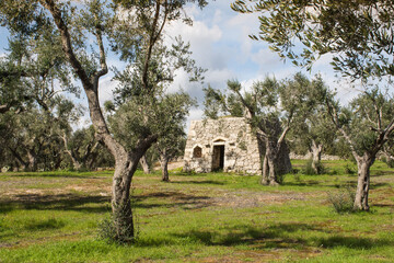 Fototapeta na wymiar Salento - Paesaggio rurale 