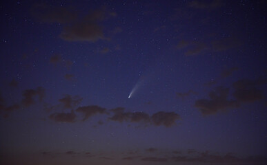 Neowise Comet
