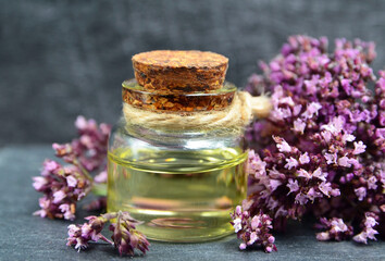 Oregano essential oil in a glass bottle with fresh blooming herb twigs on a dark background. Aromatherapy, natural cosmetics,spa or bodycare concept.Selective focus.