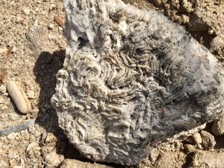 Naklejka premium Beach discoveries