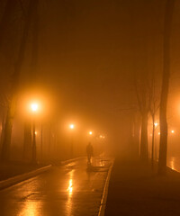 man park fog mist night