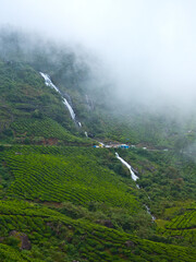 Chinnakannal or Power House Waterfalls is located 18kms away from Munnar. The surrounding green tea plantations gives a classic look to the waterfall, which attracts tourists from all over the world.