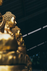 golden buddha statue in the temple