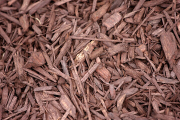 Backgrounds of wood chips