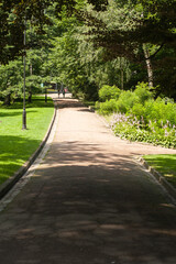 Fototapeta premium Summer city green park for recreation
