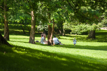 Summer city green park for recreation