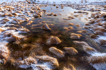 Reykjanes Coast, Iceland, Europe