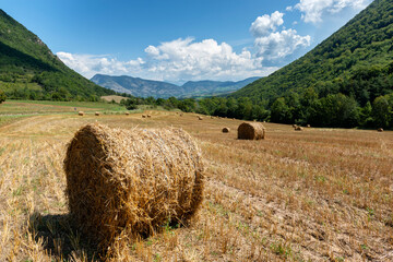 Cut wheat field in the mountains © Mny-Jhee