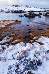 Reykjanes Coast, Iceland, Europe