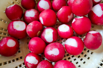heap of washed cleaned organic red radish, ready to eat,  in bowl, top view 