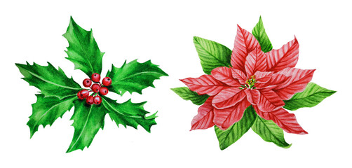 Poinsettia, holly leaves and berries. Watercolor New Year and Christmas decor. Set. Idea for greeting cards, wreaths, invitations, New Year's design, wallpaper, textile, fabric, banner.