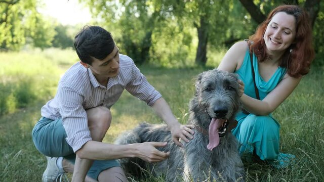 Funny moments together. Couple with dog sitting in park with their irish wolfhound dog and caressed them. Young red haired woman and handsome man. Concept - family, love, friendship and animal care.