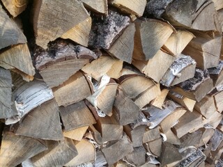  dry birch wood stacked in a woodpile