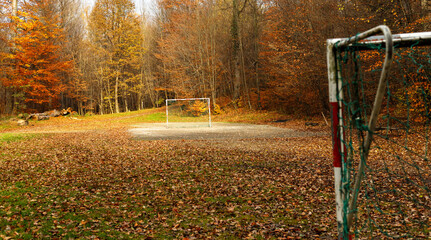soccer field with goal at colorful yellow orange brown autumn in the park with many leaves 