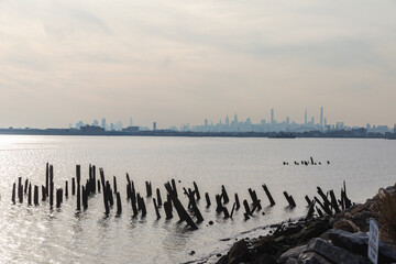 view of a city very far in the distance with wood sticking out of the water